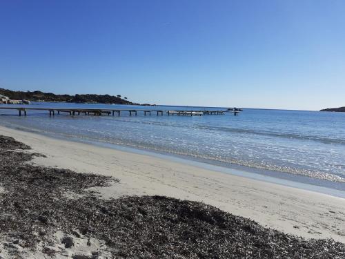 a beach with a pier in the water at La maison sous les oliviers Casa d'Iloa in Porto-Vecchio