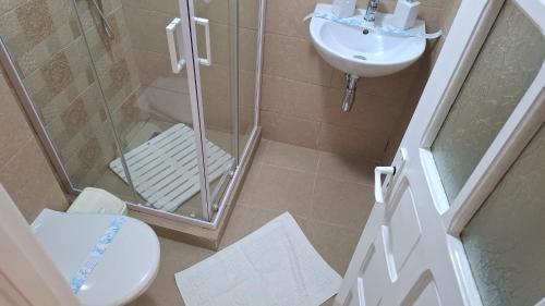 a bathroom with a shower and a toilet and a sink at CASA MARIA in Jupiter