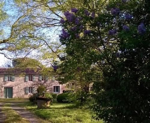 Grand Mas, 32 hectares, nature et retrouvailles