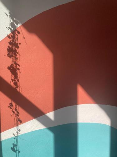 l'ombre d'un bâtiment et d'une plante dans l'établissement Bel appartement pour 2 personnes, avec vue sur l'Adour, à Bayonne