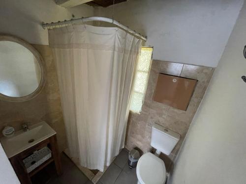 a bathroom with a shower curtain and a toilet at La higuera in Cerro de Oro