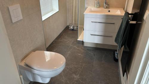 une salle de bain avec des toilettes blanches et un lavabo dans l'établissement Landgoed Wittelte Dwingeloo, à Wittelte