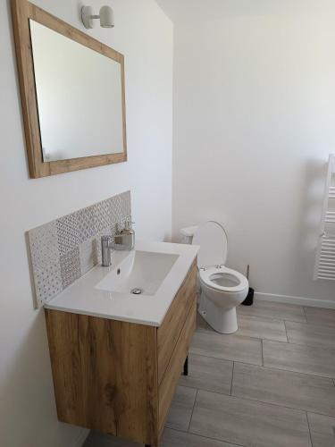 a bathroom with a sink and a toilet at Chez Elise et Margot in Saint-Cosme-en-Vairais