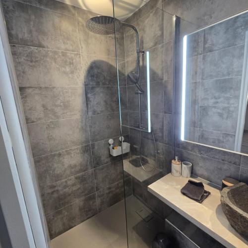 a bathroom with a shower with a sink and a mirror at Petit appartement 1 Le charmant in Sarreguemines