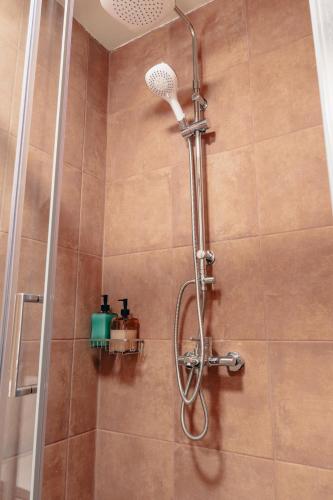 a shower with a shower head in a bathroom at Ariusa Luxury Apartments in Chios