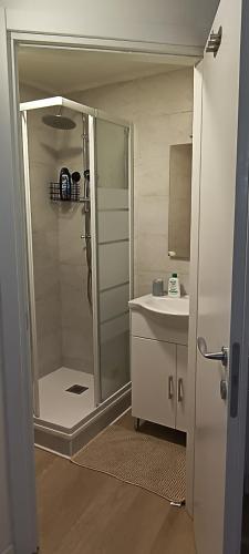 a bathroom with a shower and a sink at Affittacamere Pratello 97 in Bologna