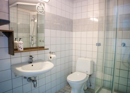 a bathroom with a toilet and a sink at Hemsedal Cafe Skiers Lodge in Hemsedal