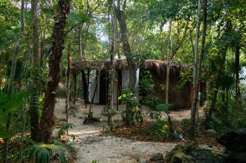 a shack in the woods with a dress hanging in it at Apartamento Flamingo - Santuario Apartments in Chemuyil