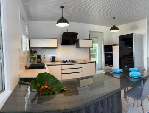 a kitchen with a large island in the middle at Villa de charme T3 avec jardin et spa in Chambort