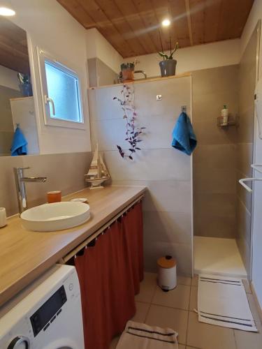 une salle de bain avec un lavabo et une machine à laver dans l'établissement Jolie maison en bois à 600m de la plage des Vergnes, à Meschers-sur-Gironde