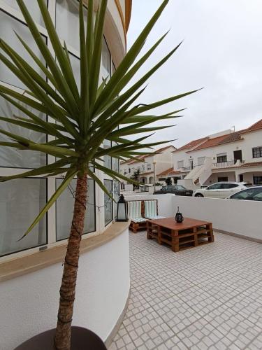 a palm tree on the balcony of a building at Bal&Bal in Ferrel