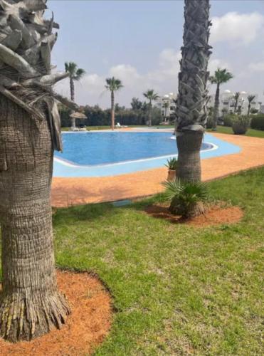 a palm tree next to a swimming pool at Marina luxury appartment with pool & garden view in Saidia 