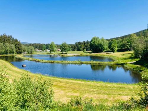 a pond in the middle of a field with trees at Aotearoa - Mountain apartment in Bavaria, Mitterdorf - Mitterfirmiansreut in Mitterfirmiansreut