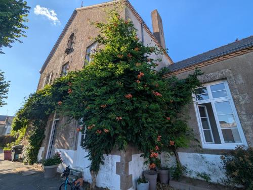 a large tree on the side of a house at La Bonne Ecole in Les Landes-Génusson