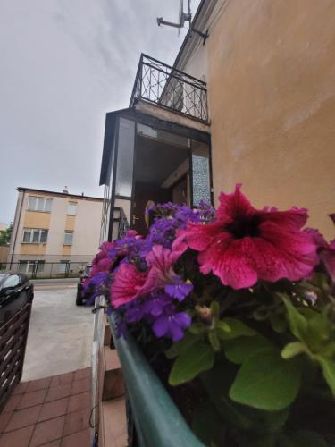 Pokoje gościnne Ustronie Morskie - 260m do plaży