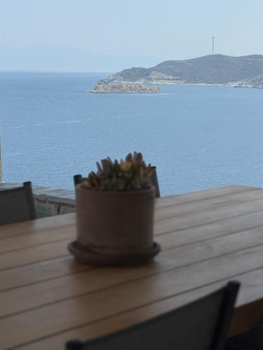 a potted plant sitting on a table near the water at PETRA Luxury Villas in Áyioi Apóstoloi