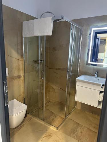 a bathroom with a shower and a toilet and a sink at Harmony B&B in Fălticeni