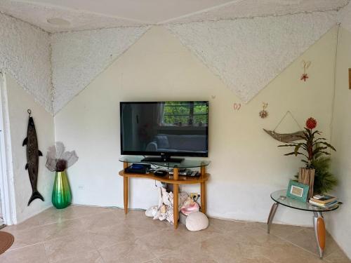 a living room with a flat screen tv on a wall at Castle MacMillan Hughes in Tarpum Bay