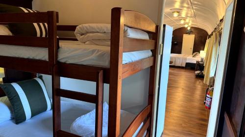 a group of bunk beds in a small room at Daintree Beach Resort in Wonga