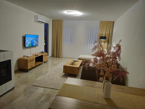 Μια τηλεόραση ή/και κέντρο ψυχαγωγίας στο Amarena Apartments