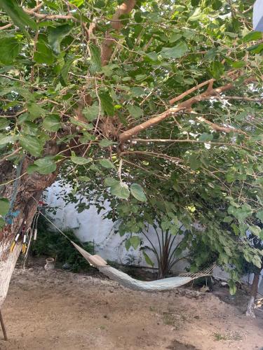 Φωτογραφία από το άλμπουμ του Studio one bedroom air-conditioned hammamet στο Χαμμαμέτ