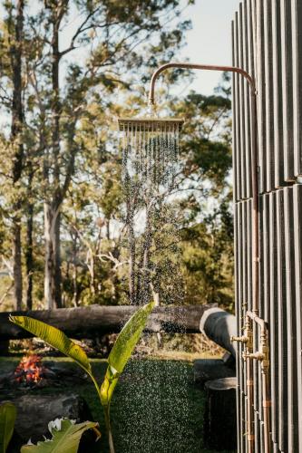 a bird feeder hanging from a fence with a plant at The Ranch Cabarita Beach - Tiny Home in Clothiers Creek