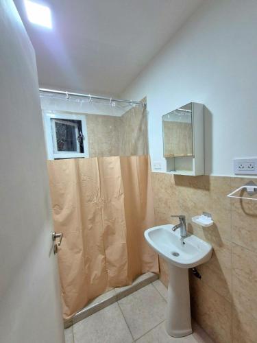 a bathroom with a sink and a shower at Puesta del Sol Apart in Río Gallegos
