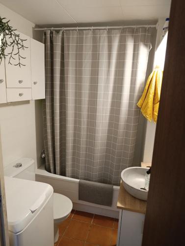 a bathroom with a shower and a toilet and a sink at Canet playa in Canet de Mar