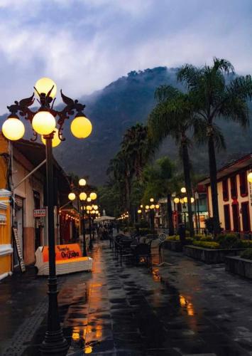 a city street with street lights and palm trees at Hotel Diamantes Orizaba Boutique in Orizaba