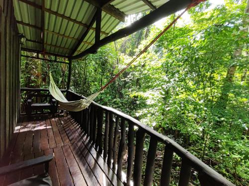 a hammock on a deck in the woods at Cabaña blue jeans in San Ramón