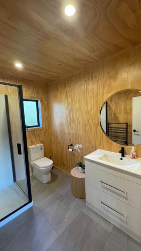 a bathroom with a toilet and a sink and a mirror at On James in Coromandel Town