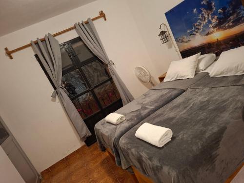 a bedroom with a large bed and a window at La Catrina Hostel in San Miguel de Allende