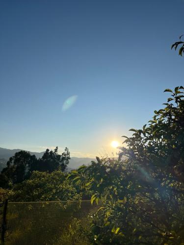 a view of the sun rising over the trees at Ana Cereza Chalet in Nuevo Colón