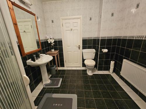 a bathroom with a toilet and a sink at Listowel Town in Listowel