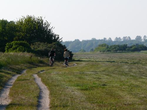 two people riding bikes on a dirt trail in a field at Appartement auf Rügen in Sagard