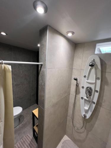 a bathroom with a shower and a toilet at Solar Deluxe Arequipa in Arequipa
