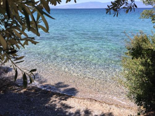 a beach with clear water and trees on it at Villas Nies in Soúrpi
