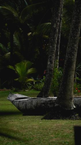 a group of palm trees in a park at Aldeia Setemares Bangalôs - Praia do Sargi - Serra Grande in Serra Grande