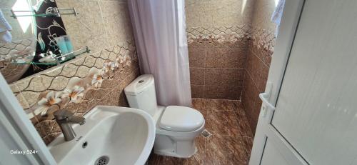 a small bathroom with a toilet and a sink at Goga Guest House in Kvariati