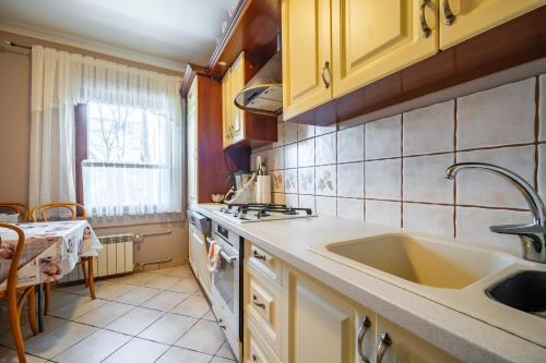 a kitchen with a sink and a counter top at Pokoje u Beaty in Zakopane