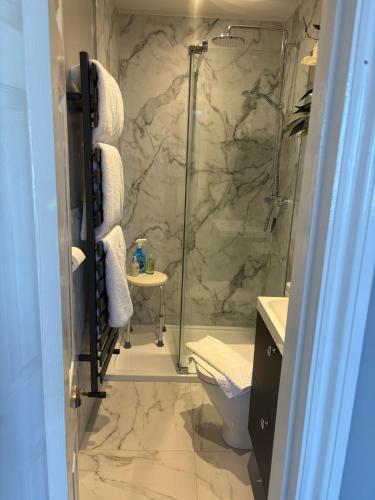 a bathroom with a shower with a toilet and a sink at Saltmarsh Rooms at Armeria in Wells next the Sea in Wells next the Sea