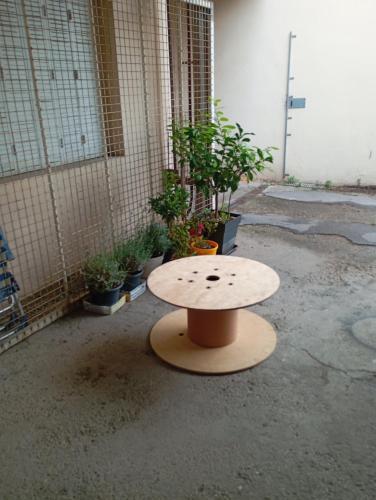 Un banco situado en medio de una habitación con plantas. en Maison des Lavandes, en Nancy