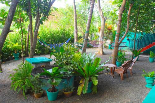 a garden with a table and chairs and plants at Sigiriya Palace View in Sigiriya