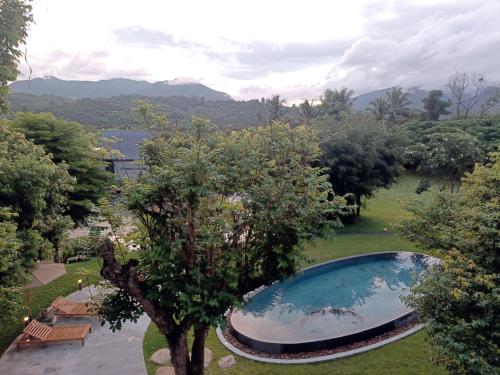 a large swimming pool in a park with a tree at Chombua MaeWang ชมบัว in Chiang Mai