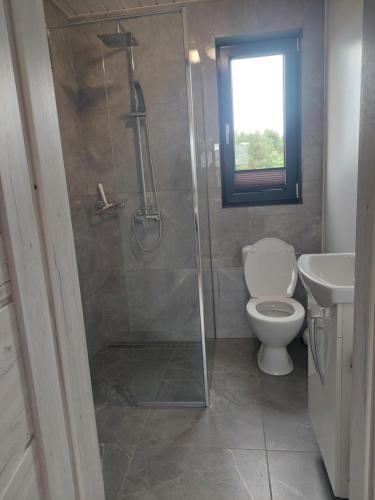 a bathroom with a shower and a toilet and a sink at Domki M&M in Kołczewo