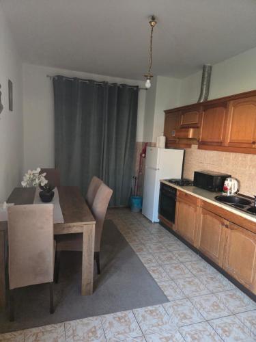 Kuchyň nebo kuchyňský kout v ubytování Apartman Metković-stan na dan