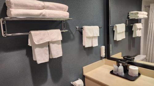 Ένα μπάνιο στο Quality Inn & Suites Garden Of The Gods