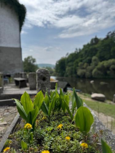 Un paisaje natural cerca de la casa de huéspedes