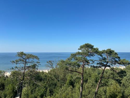 Φυσικό τοπίο κοντά σε αυτό το διαμέρισμα