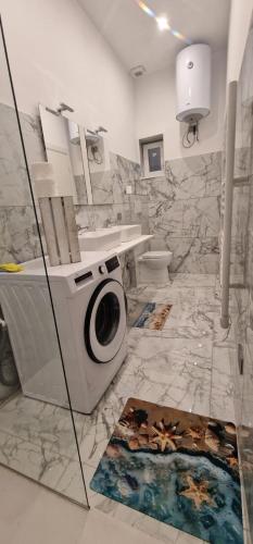 a bathroom with a toilet and a washing machine at K&A Luxury Apartment x 4 in Anzio